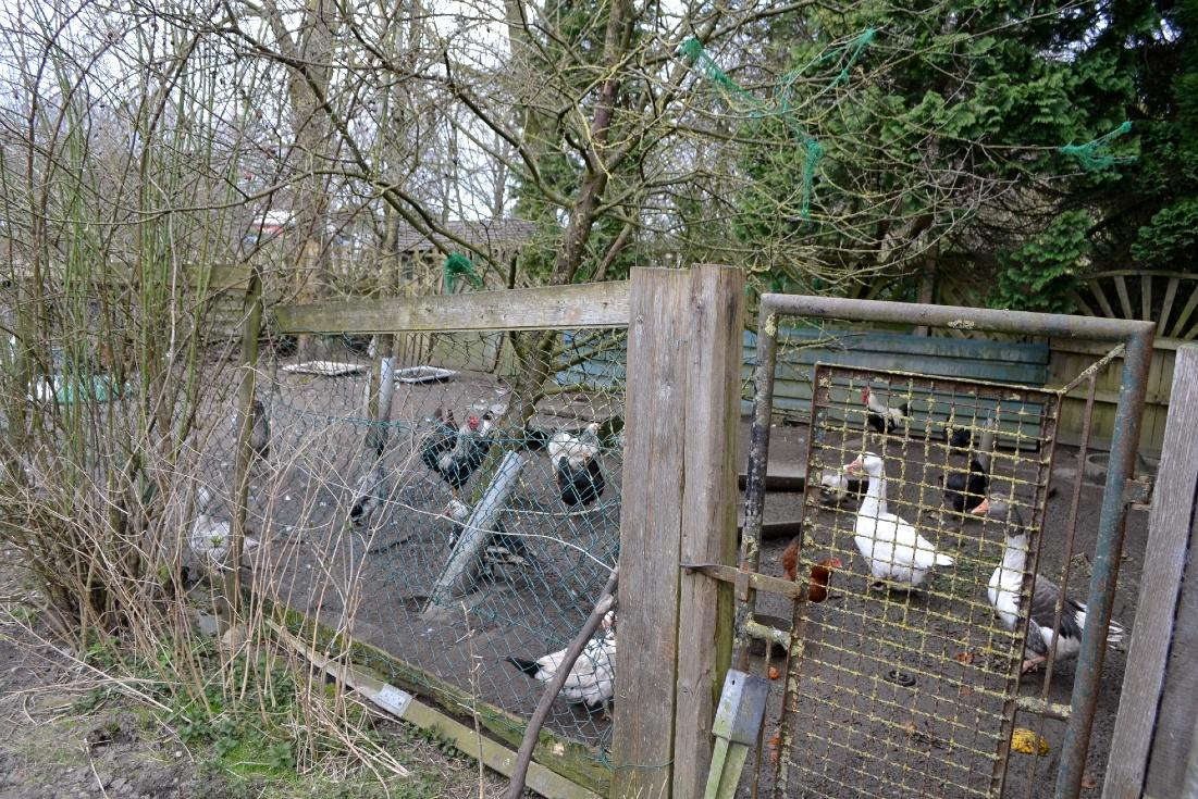 Foto 53 von 57 — Wohn-/Wirtschaftsgebäude mit 2 Nebengebäuden in Kalübbe