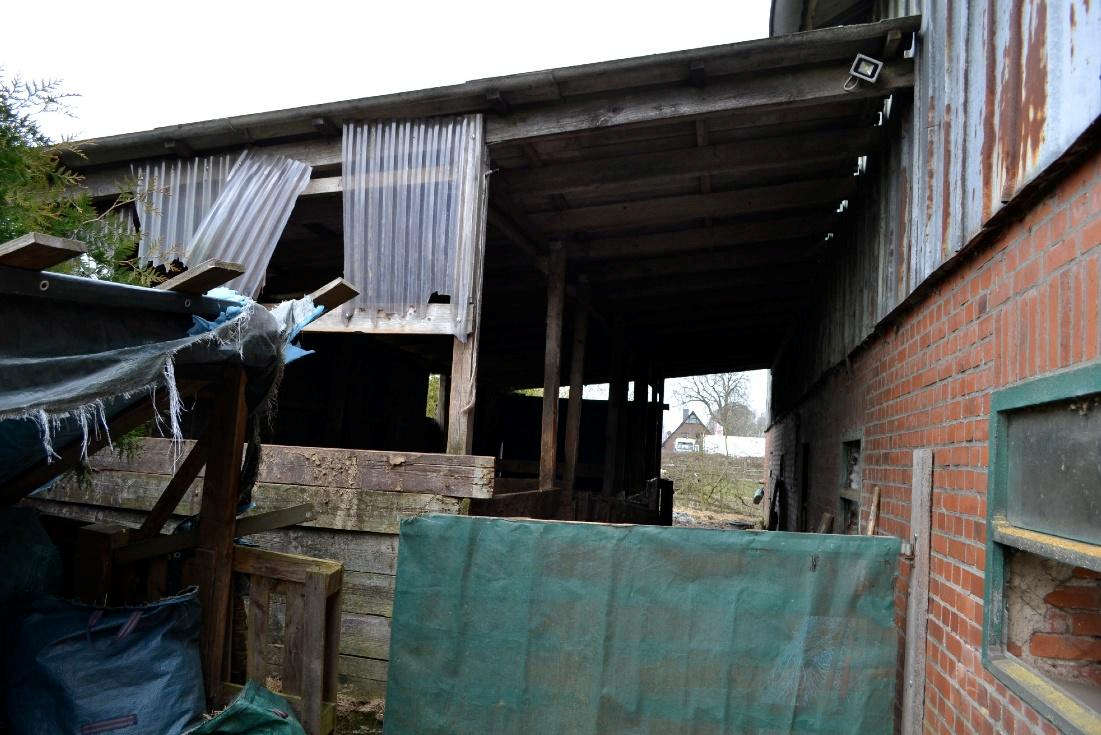 Foto 49 von 57 — Wohn-/Wirtschaftsgebäude mit 2 Nebengebäuden in Kalübbe
