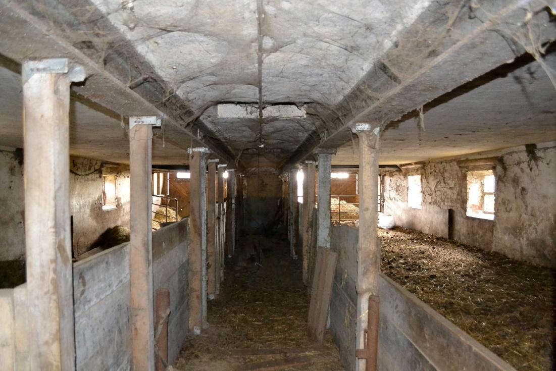 Foto 55 von 57 — Wohn-/Wirtschaftsgebäude mit 2 Nebengebäuden in Kalübbe