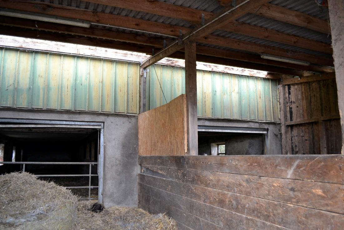 Foto 46 von 57 — Wohn-/Wirtschaftsgebäude mit 2 Nebengebäuden in Kalübbe