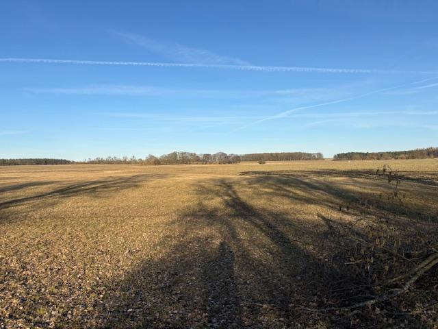 Foto 5 von 10 — Unbebautes Grundstück, Grünland in Friedland