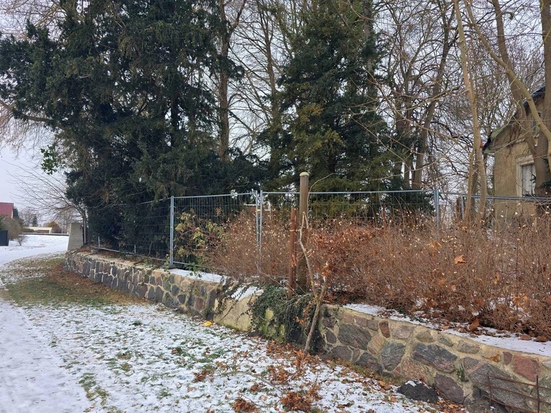 Foto 4 von 46 — Denkmalgeschützte, ehemalige Villa und Ruinen mehrerer Nebengebäude in Demmin