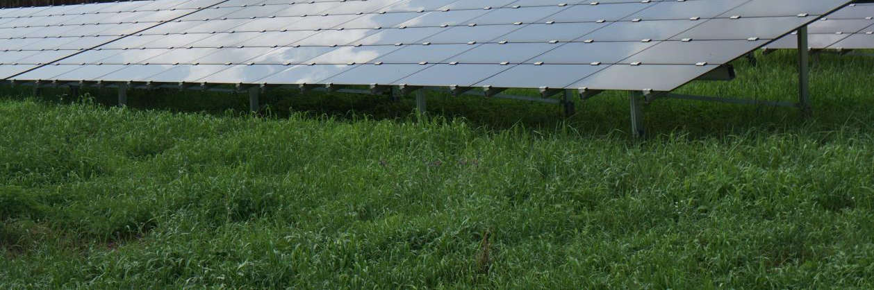 Foto 5 von 7 — Erbbaurecht (Module einer PV-Freiflächenanlage) in Liepgarten
