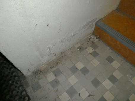 Foto 28 von 63 — Einfamilienhaus mit Garage in Hamburg
