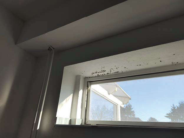 Foto 35 von 39 — Gewerbeobjekt mit Wohnung in Bobitz OT Groß Krankow