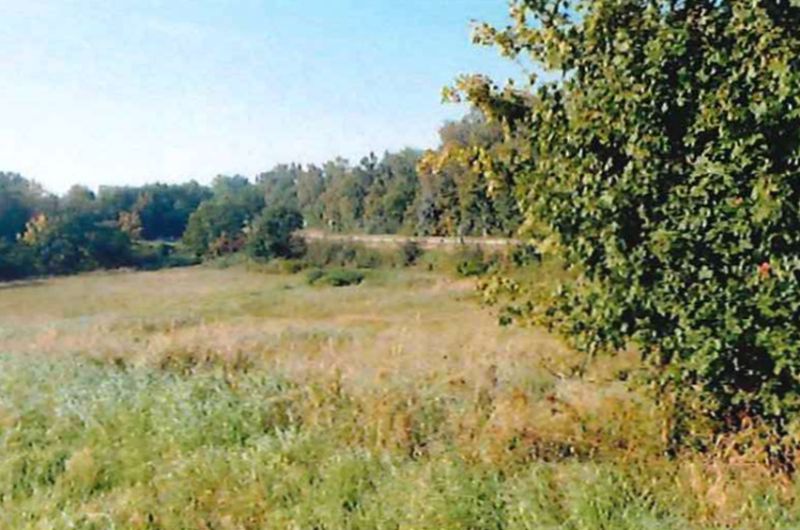Foto 2 von 273 — Landwirtschaftsflächen in Lauenburg