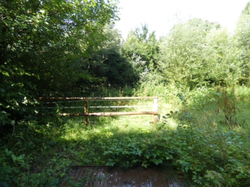 Foto 1 von 3 — Grundstück mit Pferdestall in Sankt Michaelisdonn