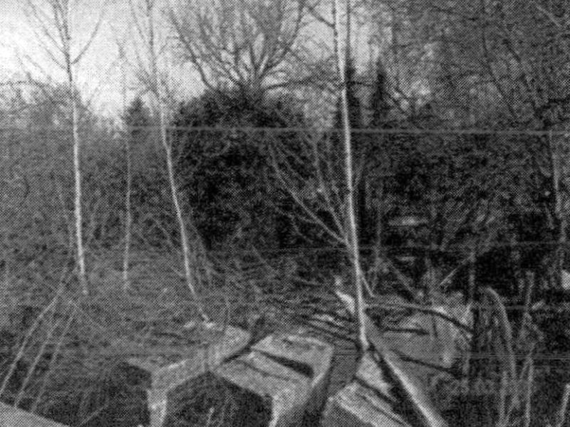 Foto 6 von 7 — Wohnhaus mit Garagen-/Lagergebäude, offener Fahrzeughalle in Schalkholz