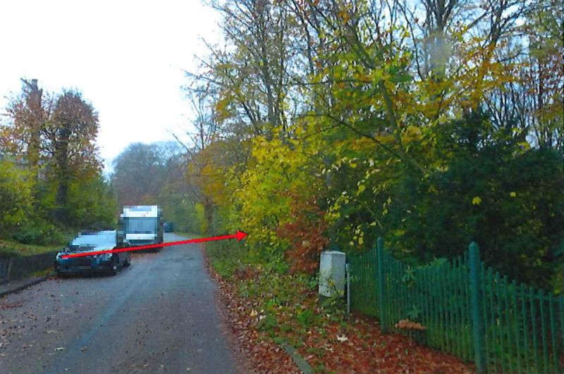 Foto 5 von 7 — Waldfläche in Börnsen