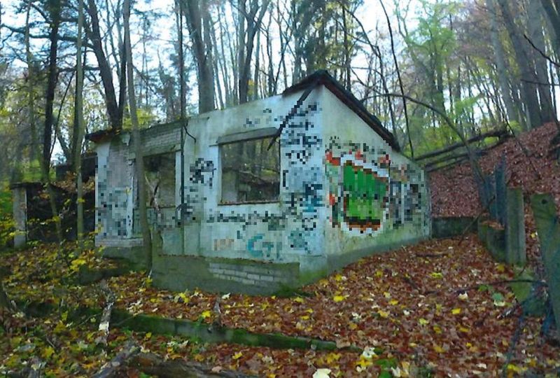 Foto 1 von 7 — Waldfläche in Börnsen