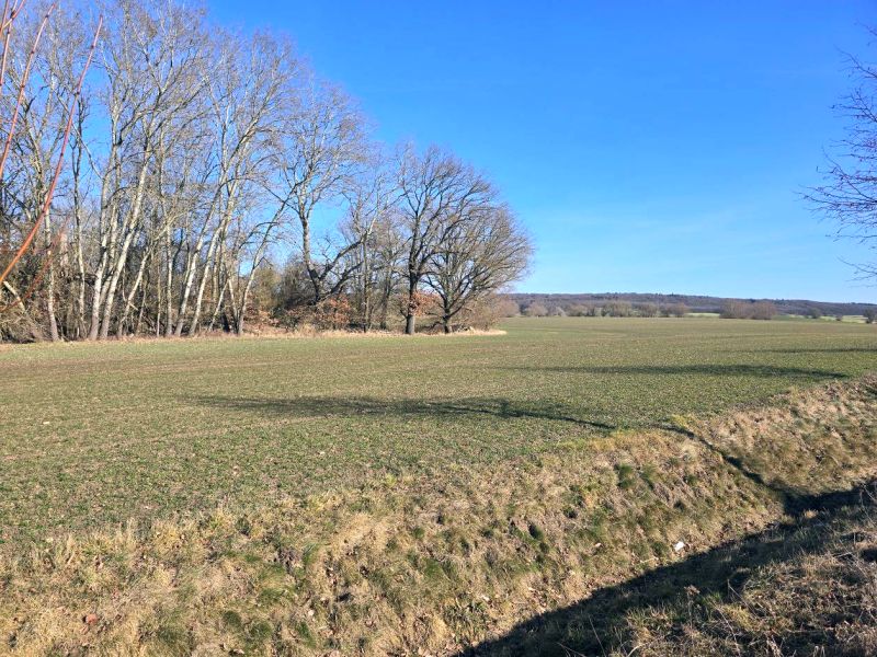 Foto 4 von 15 — Unbebautes Grundstück (Landwirtschafts-/Wald-/Wasserfläche) in Tentzerow