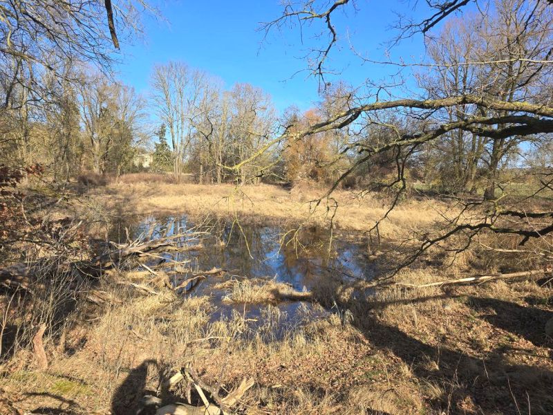 Foto 2 von 15 — Unbebautes Grundstück (Landwirtschafts-/Wald-/Wasserfläche) in Tentzerow