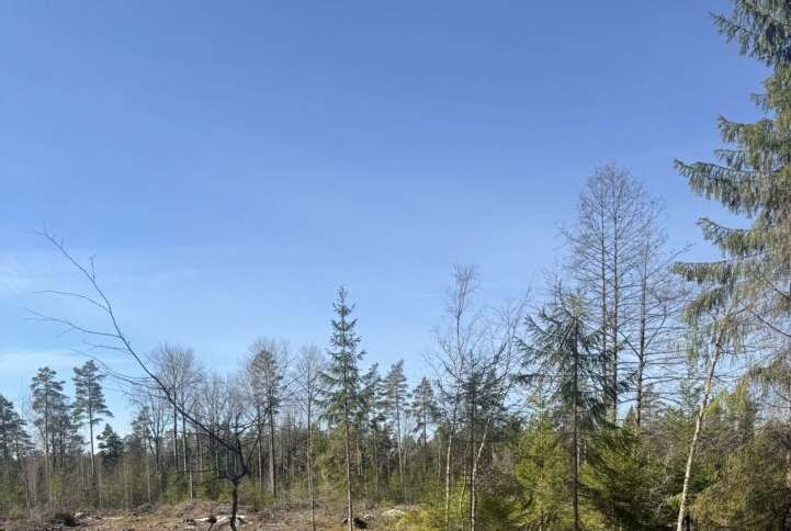 Foto 5 von 11 — Småhusenhet, bebyggd
