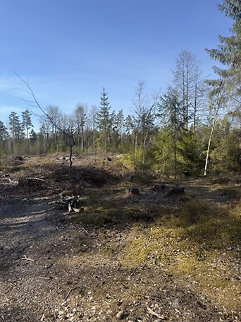 Foto 2 von 11 — Småhusenhet, bebyggd