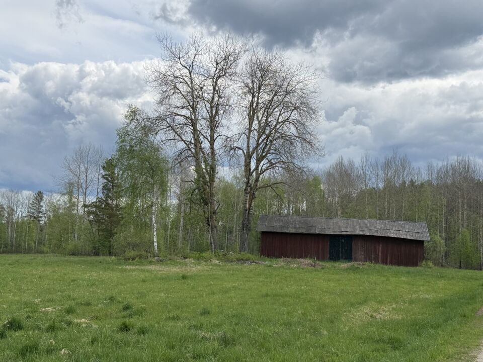 Foto 8 von 16 — Lantbruksenhet, obebyggd