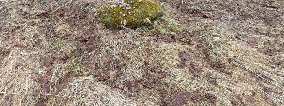 Foto 16 von 22 — Småhusenhet, bebyggd