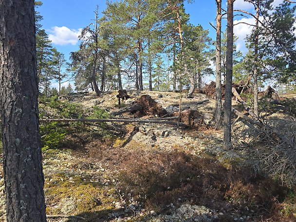 Foto 1 von 4 — Småhusenhet, tomtmark