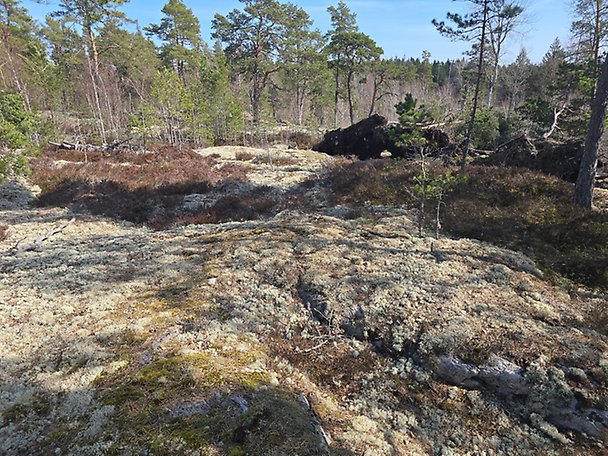 Foto 1 von 3 — Småhusenhet, tomtmark