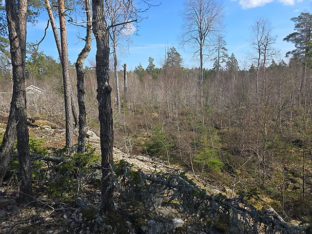 Foto 1 von 2 — Småhusenhet, tomtmark