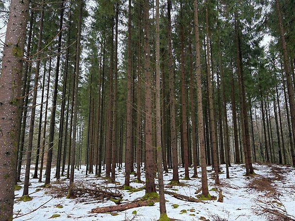 Foto 7 von 12 — Lantbruksenhet, bebyggd