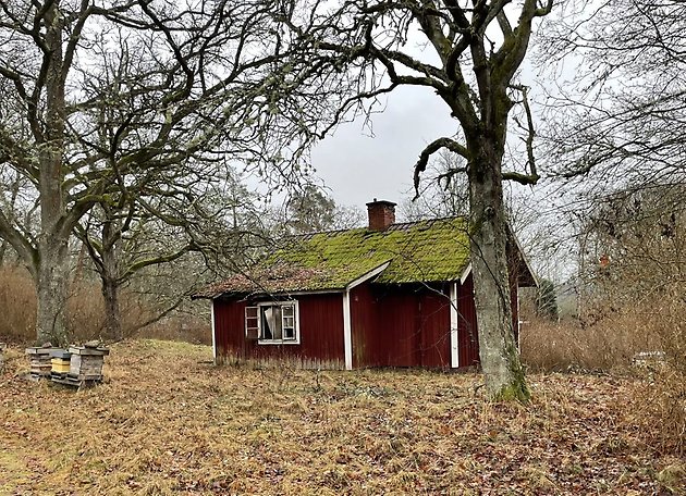 Foto 6 von 12 — Bebyggd lantbruksenhet (120), obebyggd lantbruksenhet