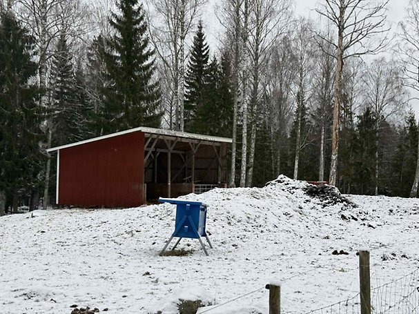 Foto 4 von 30 — Lantbruksenhet, bebyggd