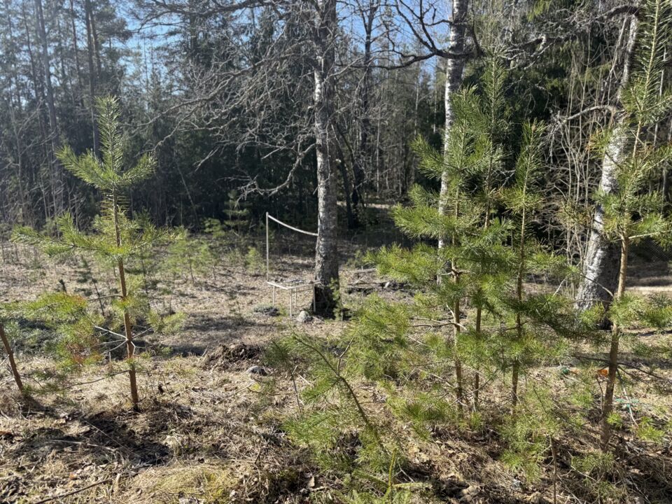 Foto 18 von 24 — Småhusenhet, bebyggd