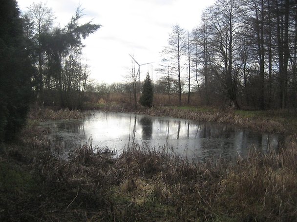 Foto 8 von 10 — Småhusenhet, bebyggd