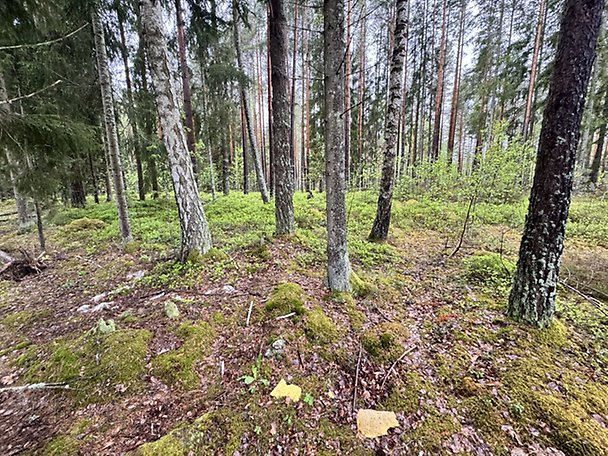 Foto 2 von 8 — Småhusenhet, tomtmark