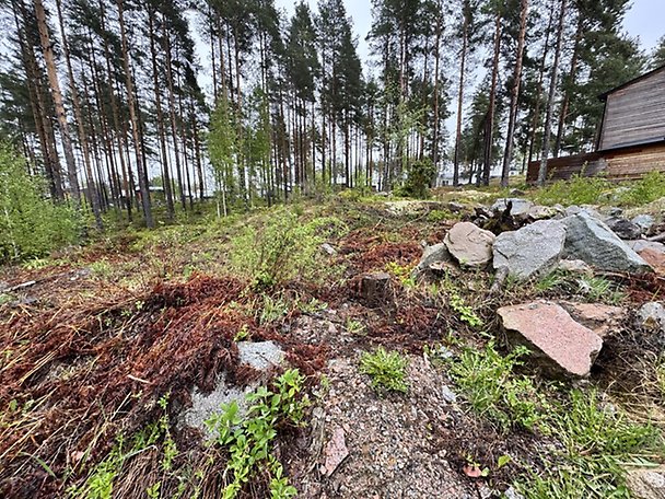 Foto 2 von 8 — Småhusenhet, tomtmark