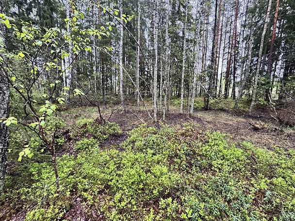 Foto 2 von 8 — Småhusenhet, tomtmark