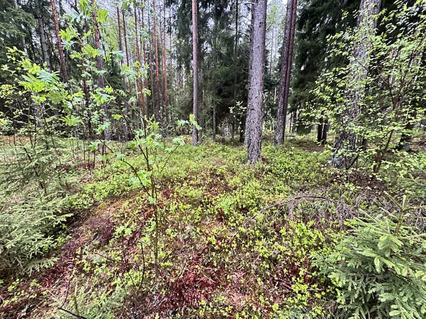 Foto 1 von 8 — Småhusenhet, tomtmark