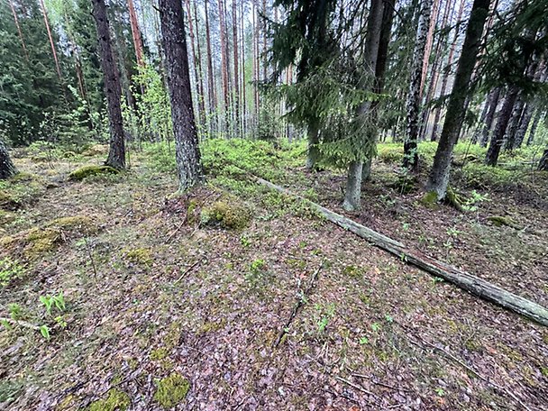 Foto 1 von 8 — Småhusenhet, tomtmark