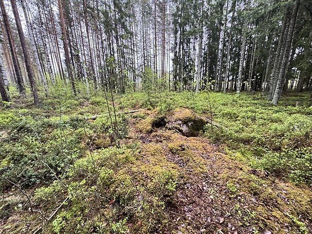 Foto 1 von 8 — Småhusenhet, tomtmark