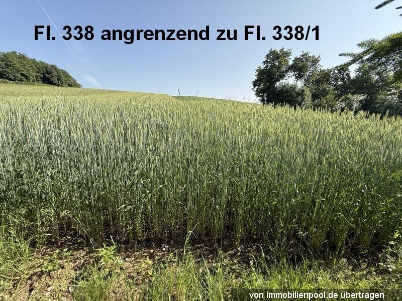 Foto 2 von 4 — Einfamilienhaus, Wohn-und Ökonomiegebäude, Gartenland und Ackerland