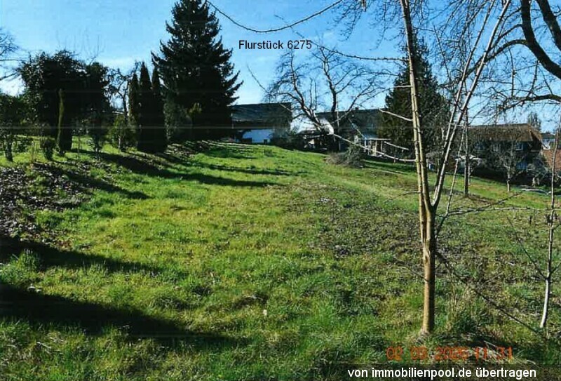 Foto 3 von 6 — 2 landwirtschaftliche Flächen (Grünfläche, Rohbauland)