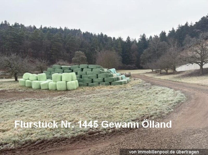 Foto 1 von 3 — drei Landwirtschaftsflächen