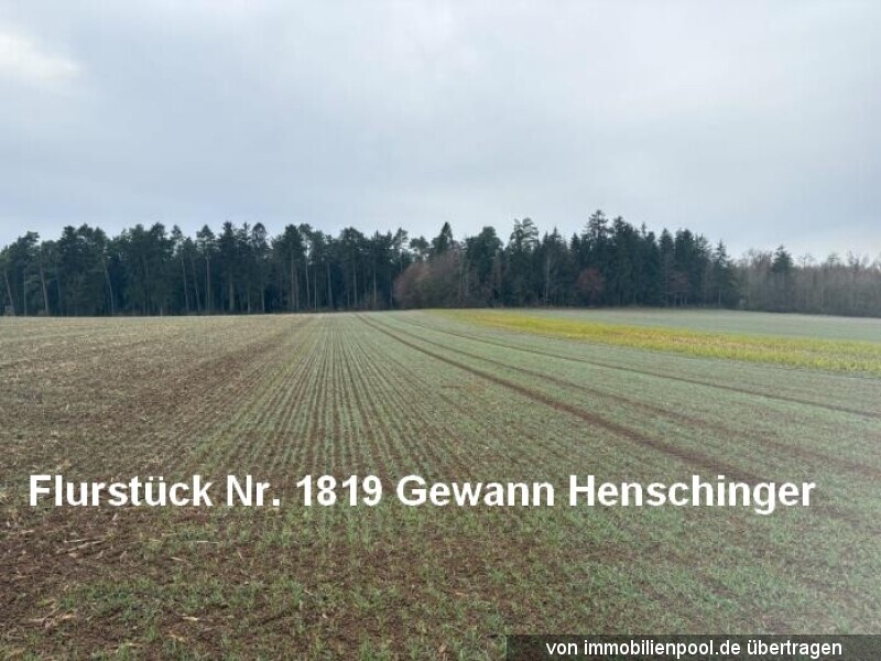 Foto 2 von 3 — drei Landwirtschaftsflächen