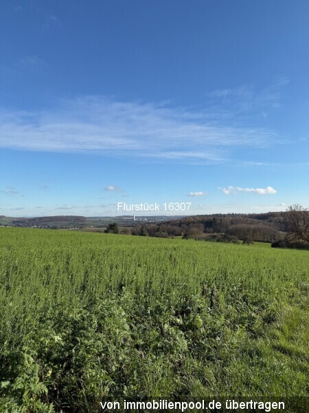 Foto 4 von 6 — drei Landwirtschaftsflächen