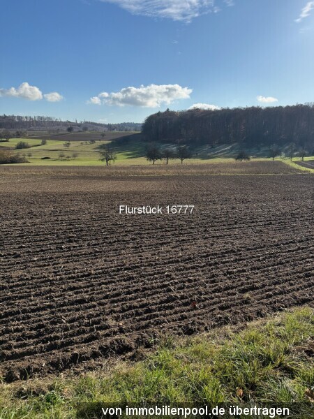 Foto 6 von 6 — drei Landwirtschaftsflächen