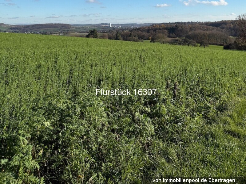 Foto 3 von 6 — drei Landwirtschaftsflächen