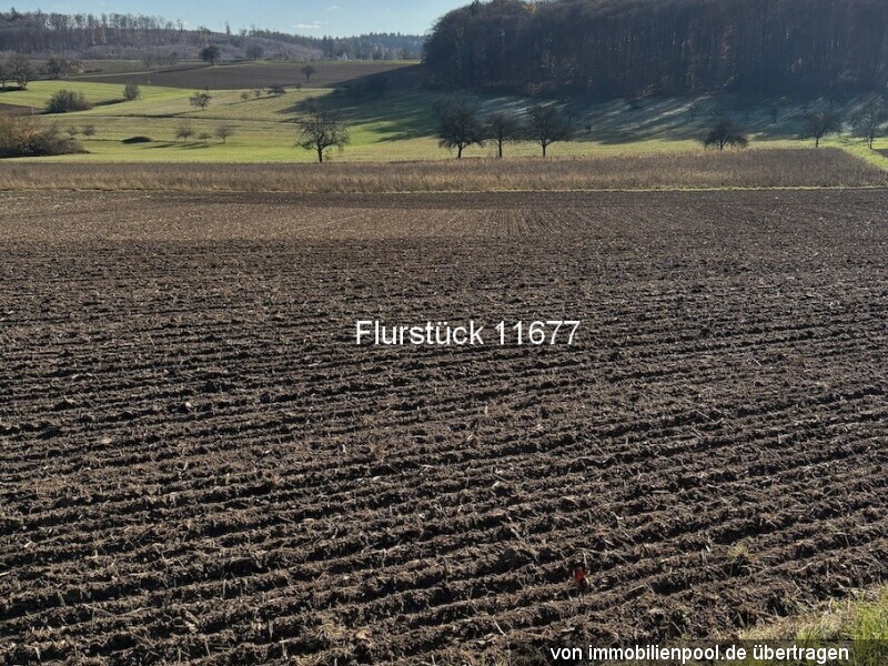 Foto 5 von 6 — drei Landwirtschaftsflächen