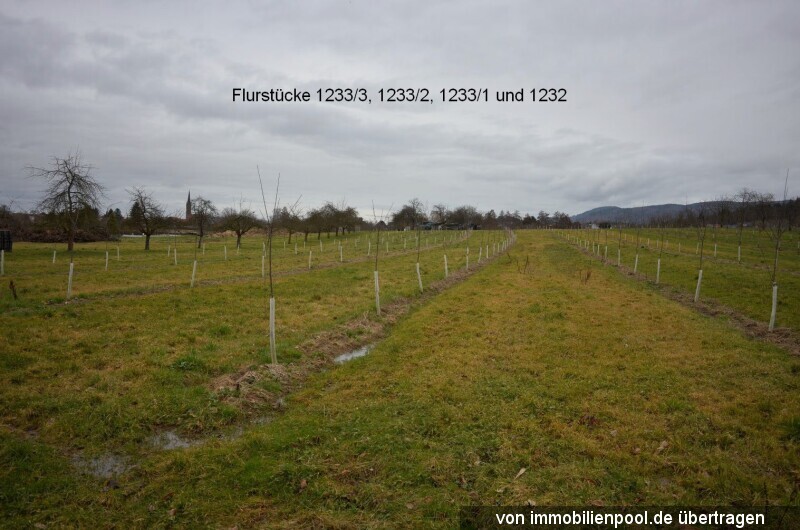 Foto 4 von 5 — acht landwirtschaftliche Obstbauflächen