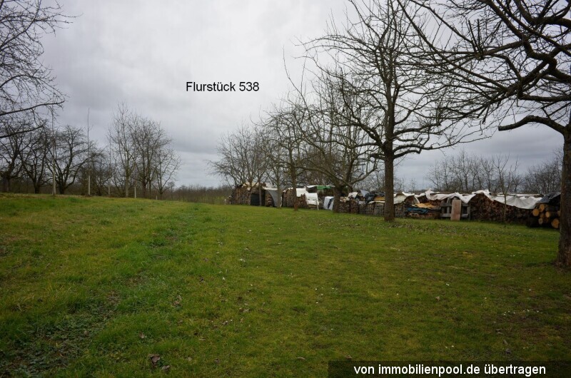 Foto 1 von 5 — acht landwirtschaftliche Obstbauflächen