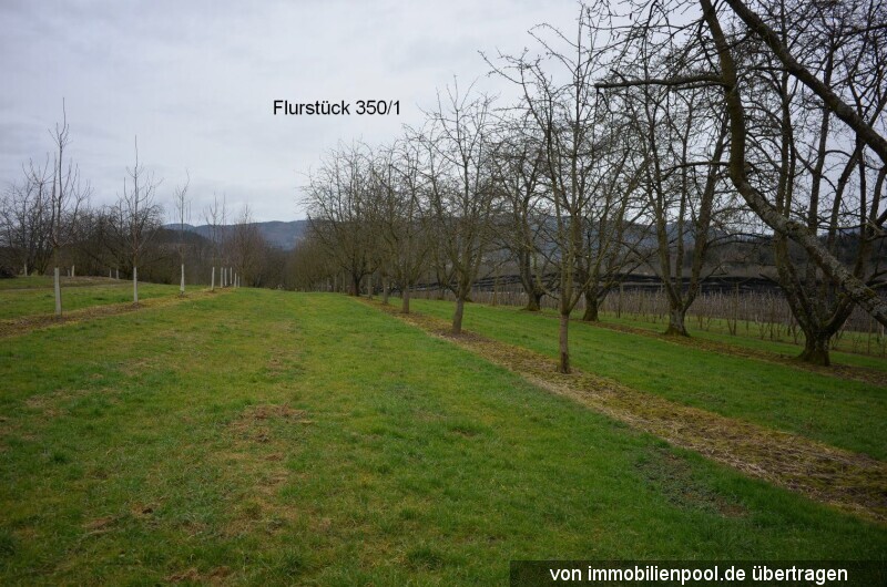 Foto 5 von 5 — acht landwirtschaftliche Obstbauflächen