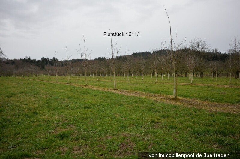 Foto 2 von 5 — acht landwirtschaftliche Obstbauflächen