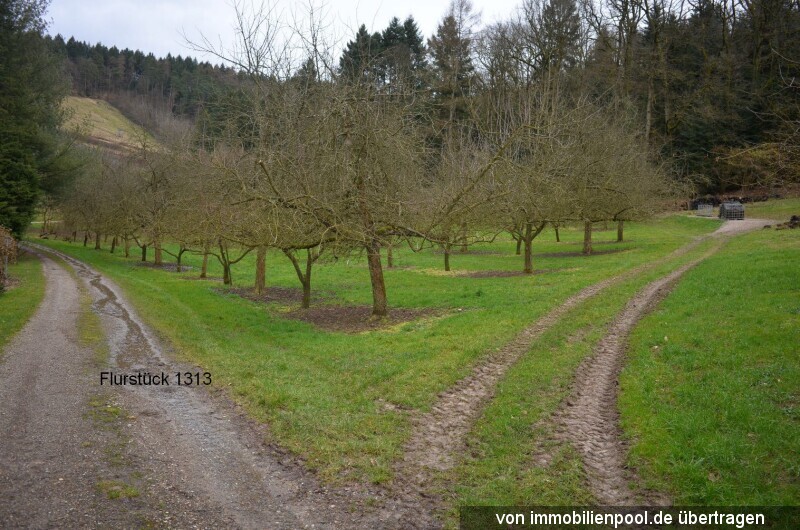 Foto 3 von 5 — acht landwirtschaftliche Obstbauflächen