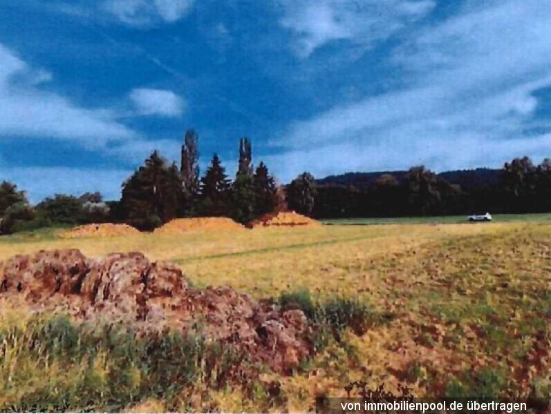 Foto 1 von 1 — Landwirtschaftsfläche