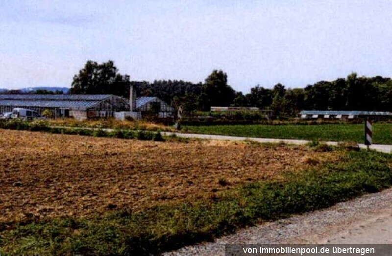 Foto 4 von 4 — zwei Gewächshäuser mit landwirtschaftlicher Nutzfläche