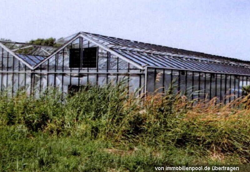 Foto 2 von 4 — zwei Gewächshäuser mit landwirtschaftlicher Nutzfläche